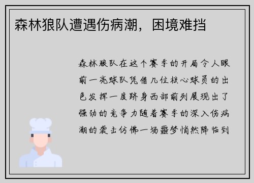 森林狼队遭遇伤病潮，困境难挡